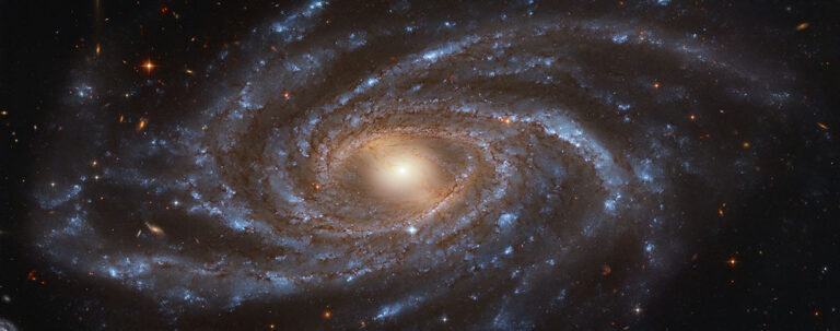 NGC2336-galaxy